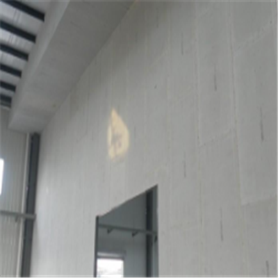 萝北宁波ALC板|EPS加气板隔墙与混凝土整浇联接的实验研讨